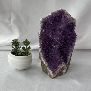 Beautiful 6 Inch Amethyst Cluster
